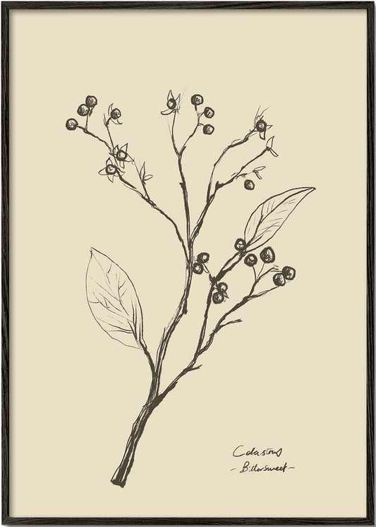 Skorter | Flowers 2 - Dan Hobday