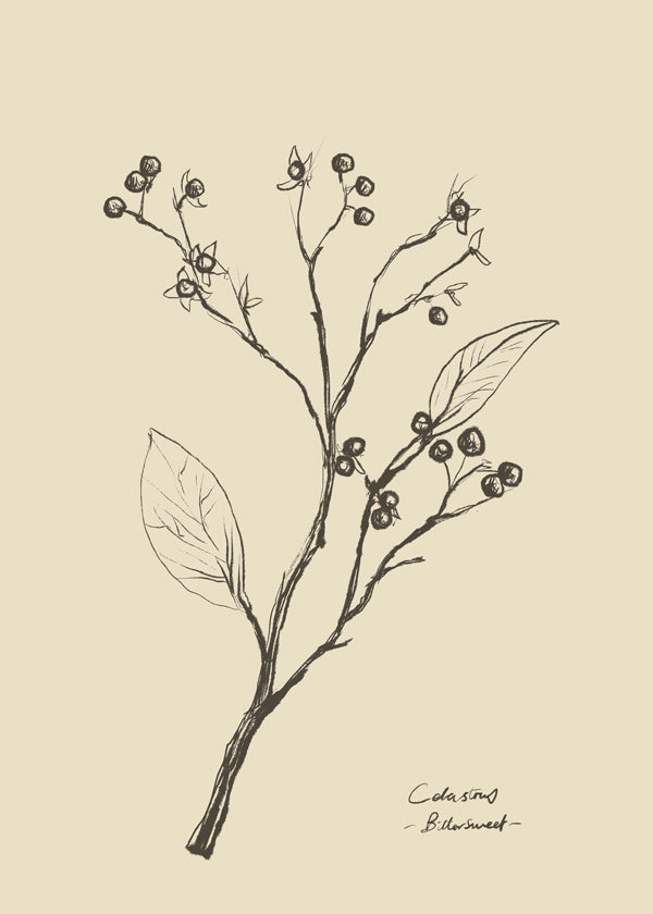 Skorter | Flowers 2 - Dan Hobday