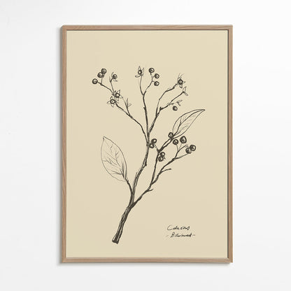 Skorter | Flowers 2 - Dan Hobday