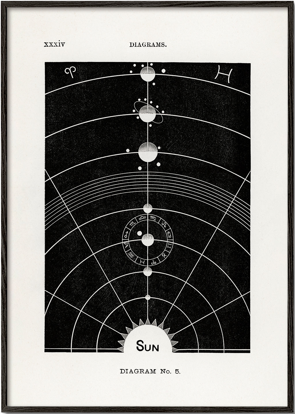 Skorter | Solar Biology No. 5 - Hiram Eratus Butler