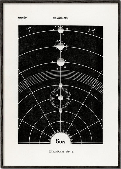 Skorter | Solar Biology No. 5 - Hiram Eratus Butler