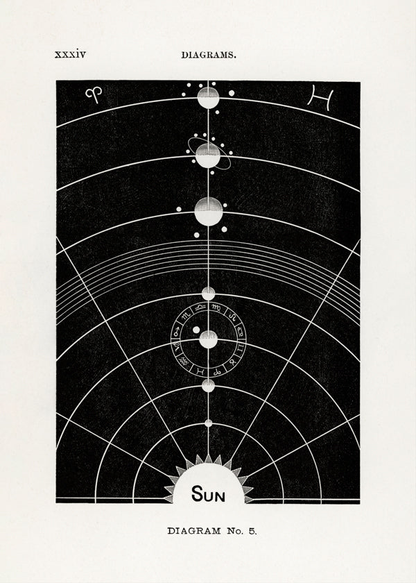 Skorter | Solar Biology No. 5 - Hiram Eratus Butler