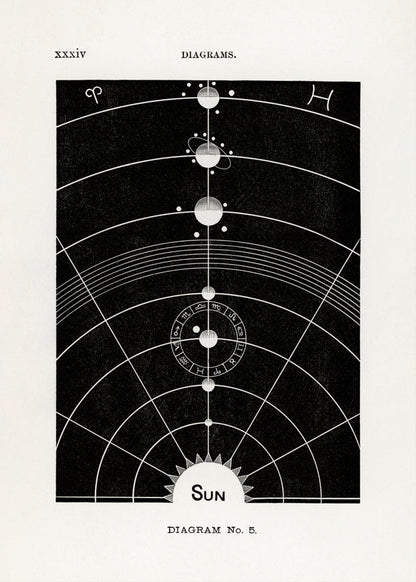 Skorter | Solar Biology No. 5 - Hiram Eratus Butler