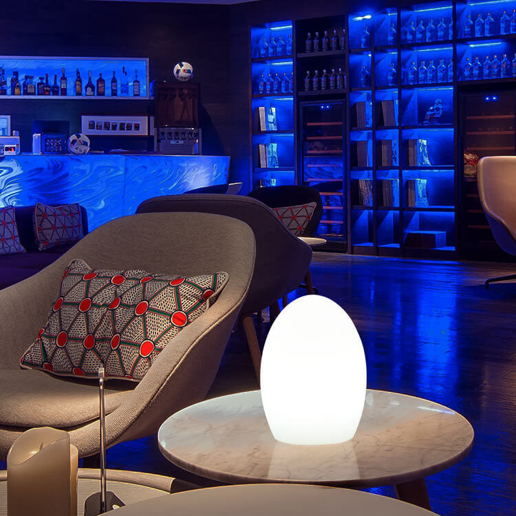 Skorter | RGB ABS Egg-shaped LED Decorative Table Lamp
