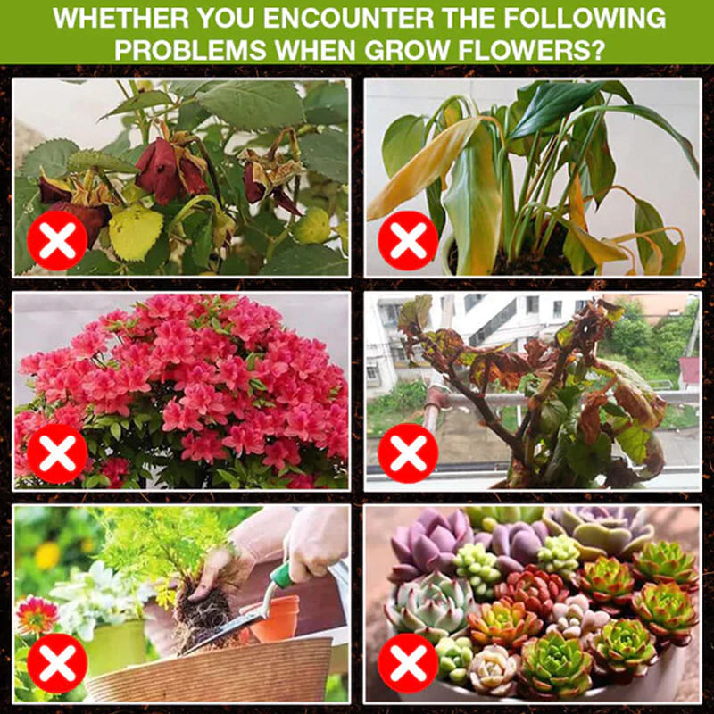 Skorter | Plant Growth Enhancer Supplement