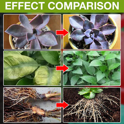 Skorter | Plant Growth Enhancer Supplement