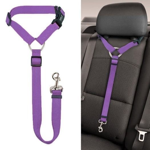 Skorter | Adjustable Car Dog Leash