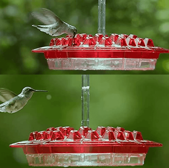 Skorter | Ant-proof Hummingbird Feeder for Outdoor Use with Hanging Perch