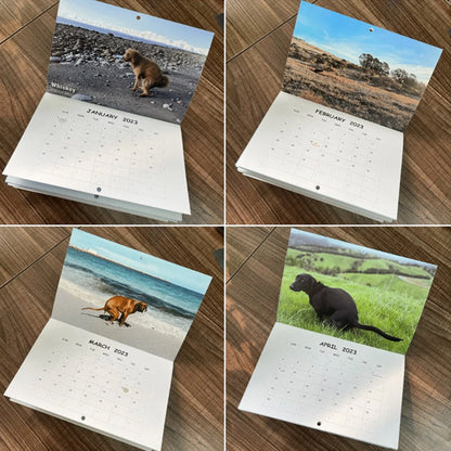 Skorter | Pooping Pooches Dog Calendar