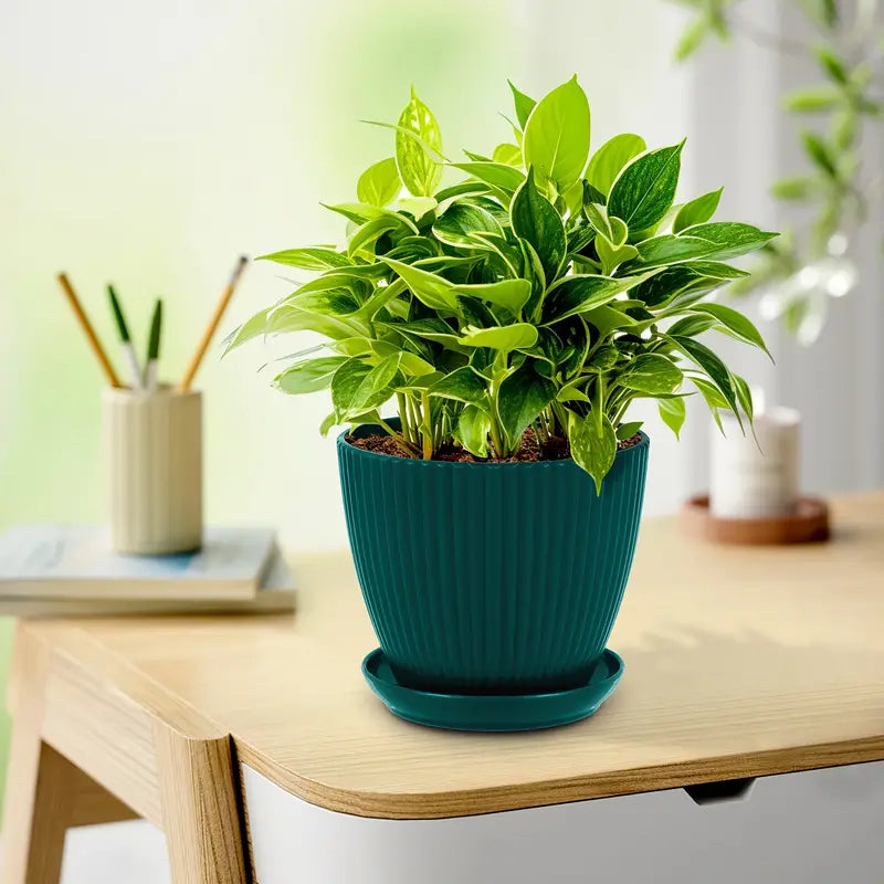Skorter | Flower pot with groove structure and saucer – Sturdy plastic pot for plants