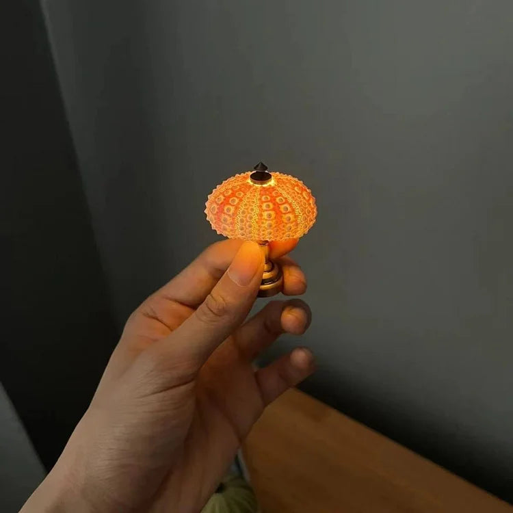 Skorter | LumiCraft – Unique DIY table lamp with natural sea shell for a cozy décor