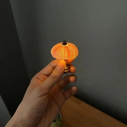Skorter | LumiCraft – Unique DIY table lamp with natural sea shell for a cozy décor
