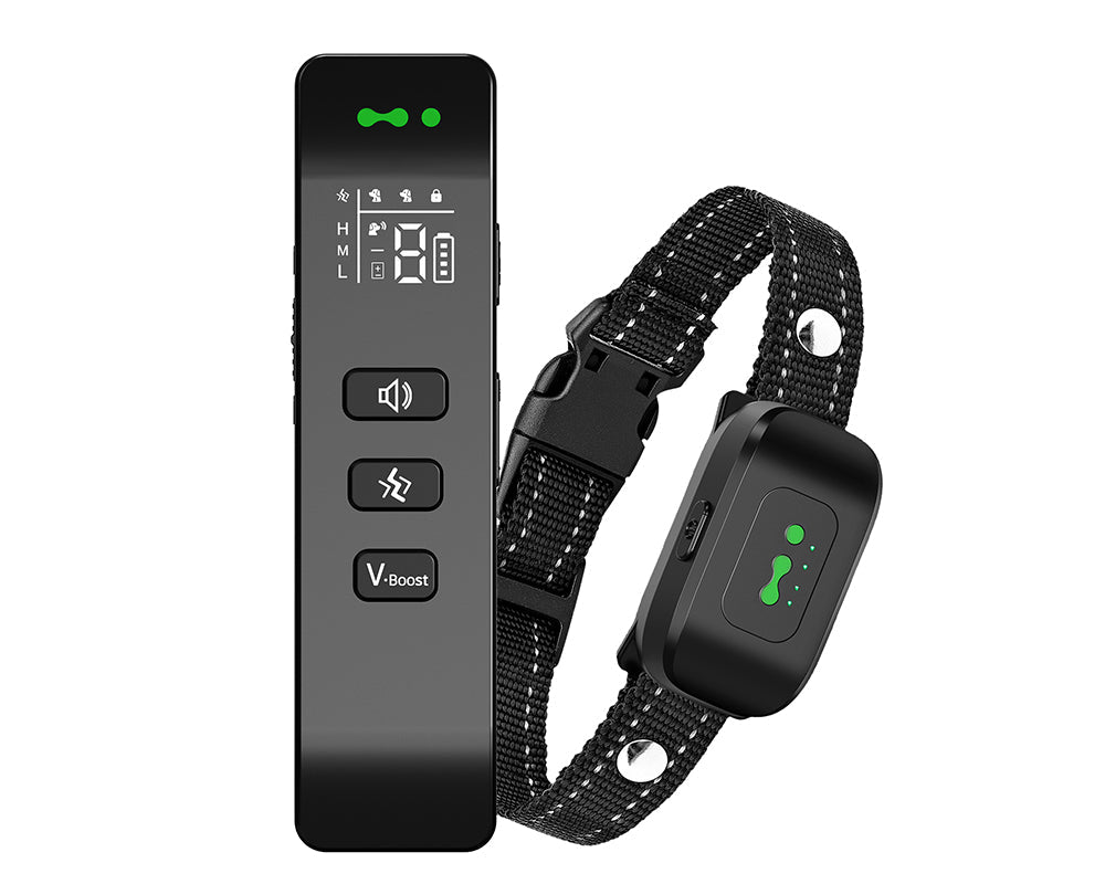 Skorter | Dog Collar No Shock