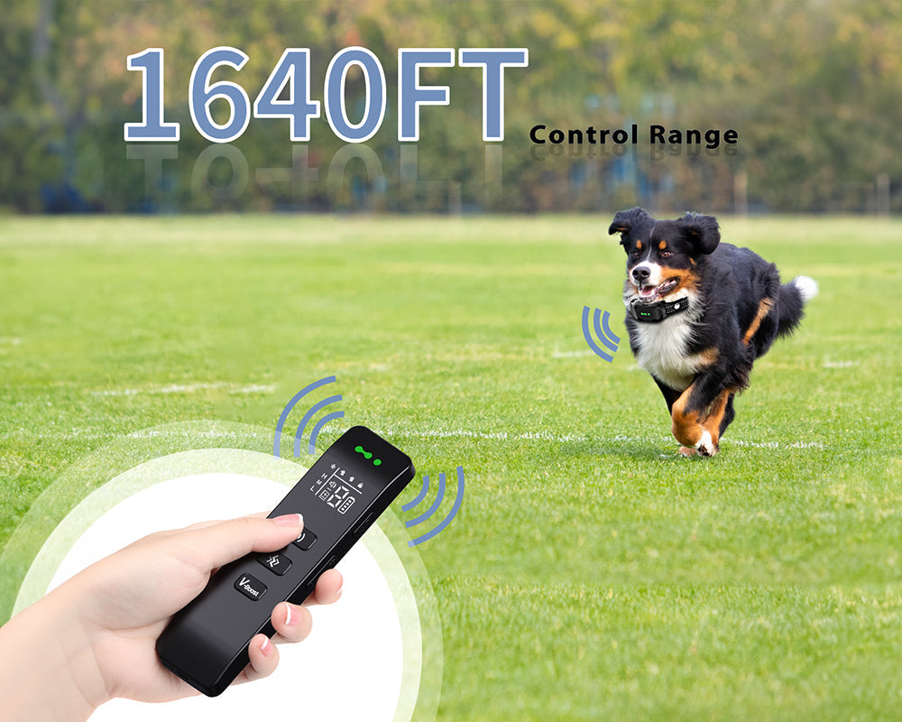 Skorter | Dog Collar No Shock