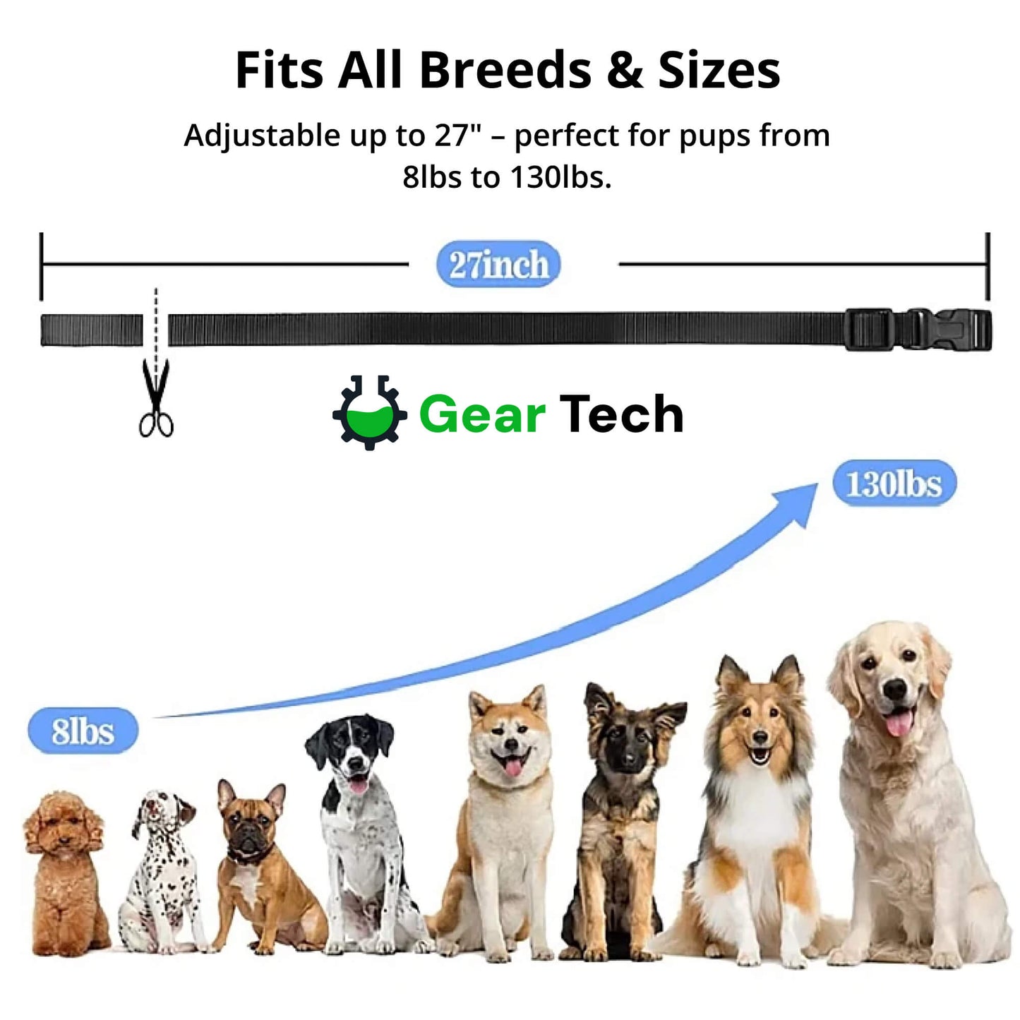 Skorter | 1000m Waterproof Dog Training Collar | Rechargeable, Remote Control & Adjustable for Small, Medium, and Large Dogs