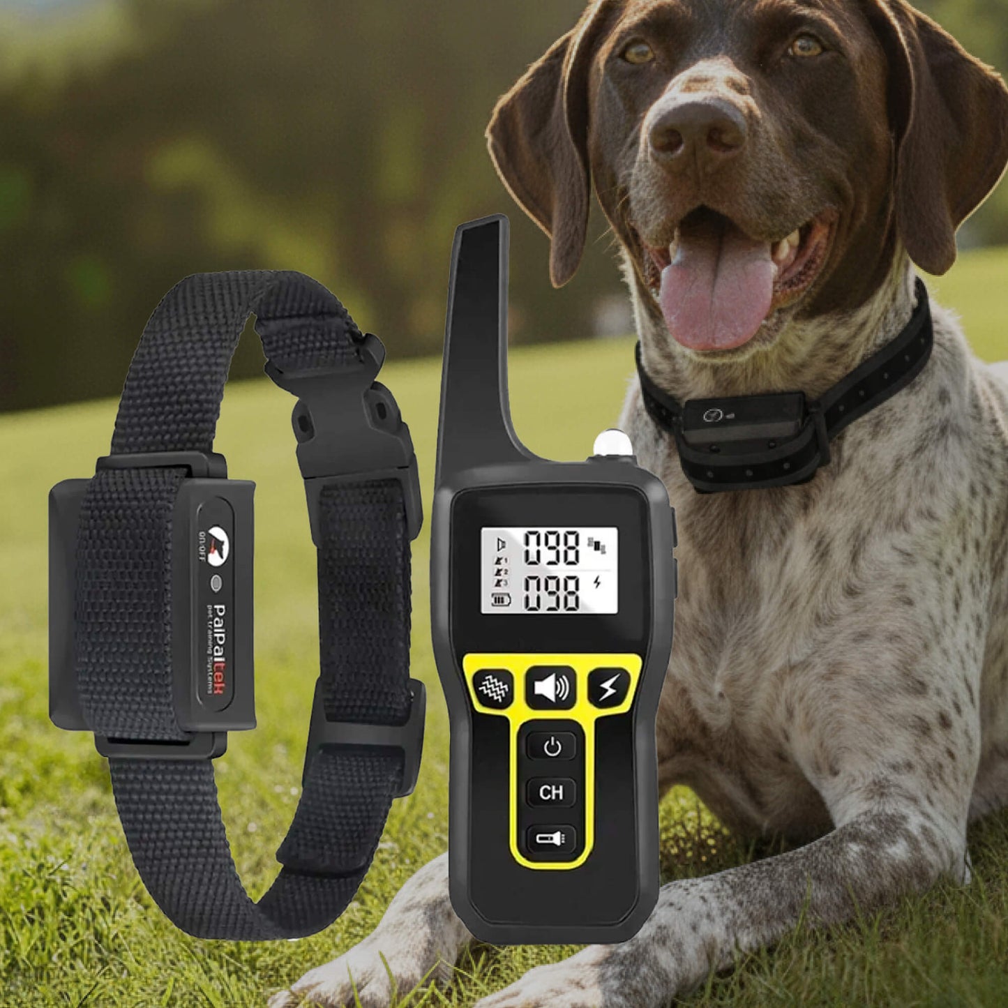 Skorter | 1000m Waterproof Dog Training Collar | Rechargeable, Remote Control & Adjustable for Small, Medium, and Large Dogs