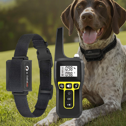 Skorter | 1000m Waterproof Dog Training Collar | Rechargeable, Remote Control & Adjustable for Small, Medium, and Large Dogs