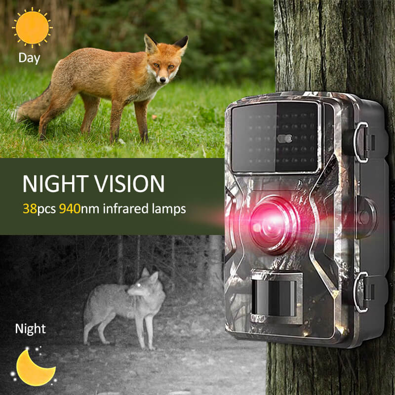 Skorter | 2x Night Vision Outdoor Wildlife Animal Cam Camera
