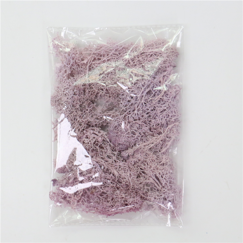 Skorter | Artificial Moss for Landscaping – Moss and Flowers for Decoration and Floristry