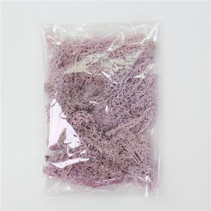 Skorter | Artificial Moss for Landscaping – Moss and Flowers for Decoration and Floristry