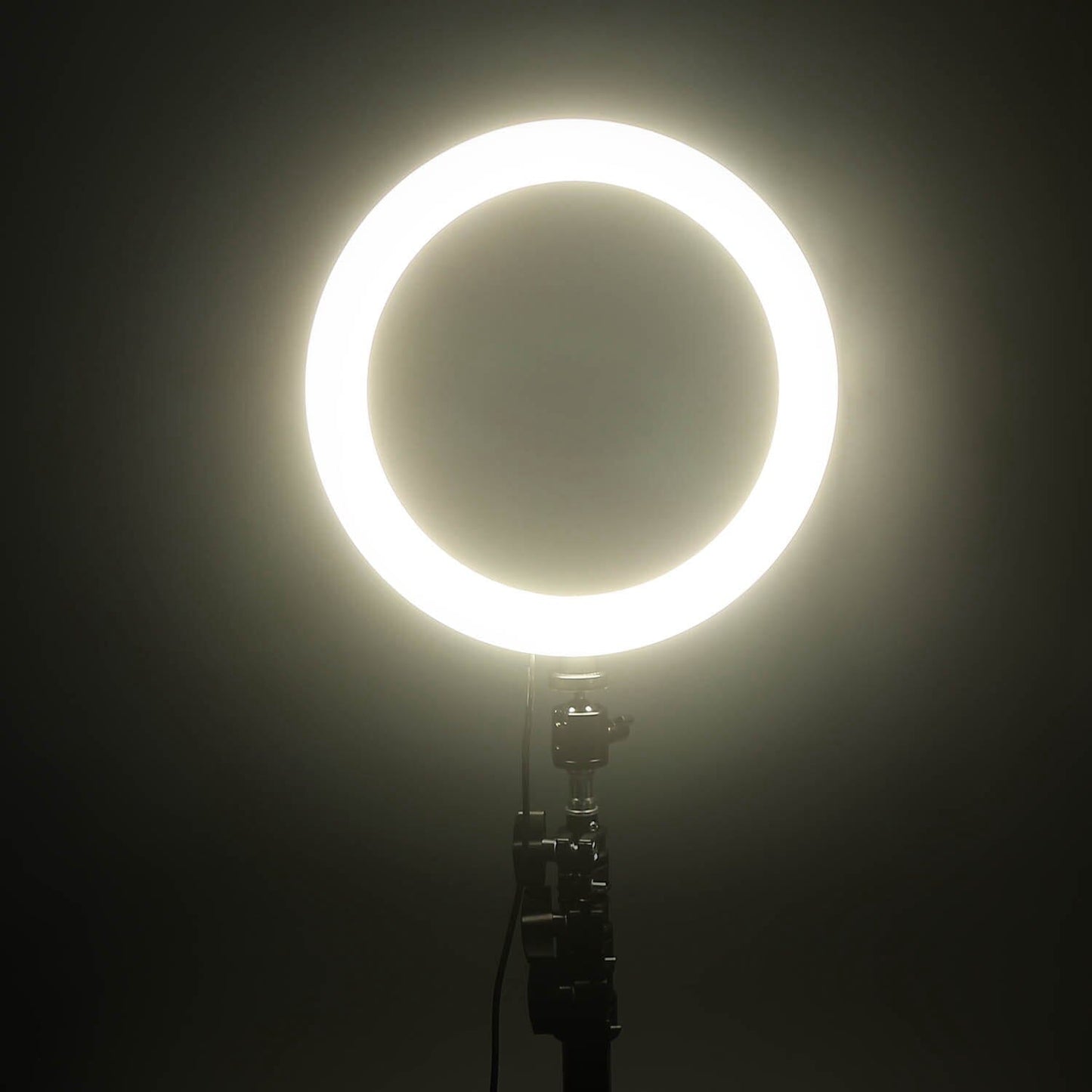 Skorter | 10in 120 LED Self-lighting Ring Light