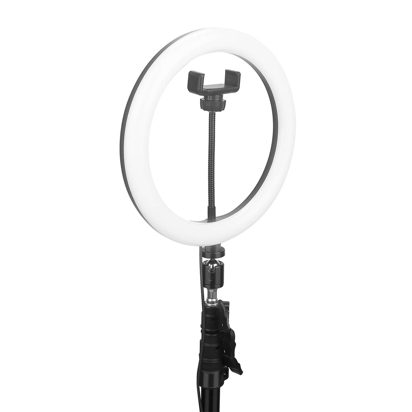 Skorter | 10in 120 LED Self-lighting Ring Light