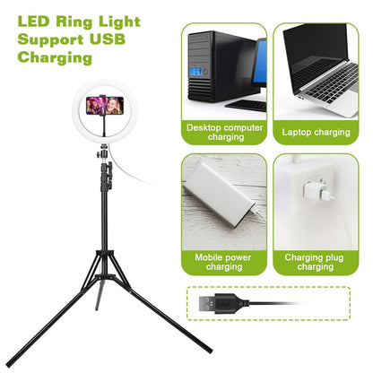 Skorter | 10in 120 LED Self-lighting Ring Light