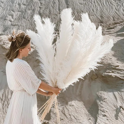 Skorter | BohoBliss - Dried Pampas Grass