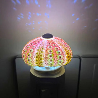 Skorter | LumiCraft – Unique DIY table lamp with natural sea shell for a cozy décor