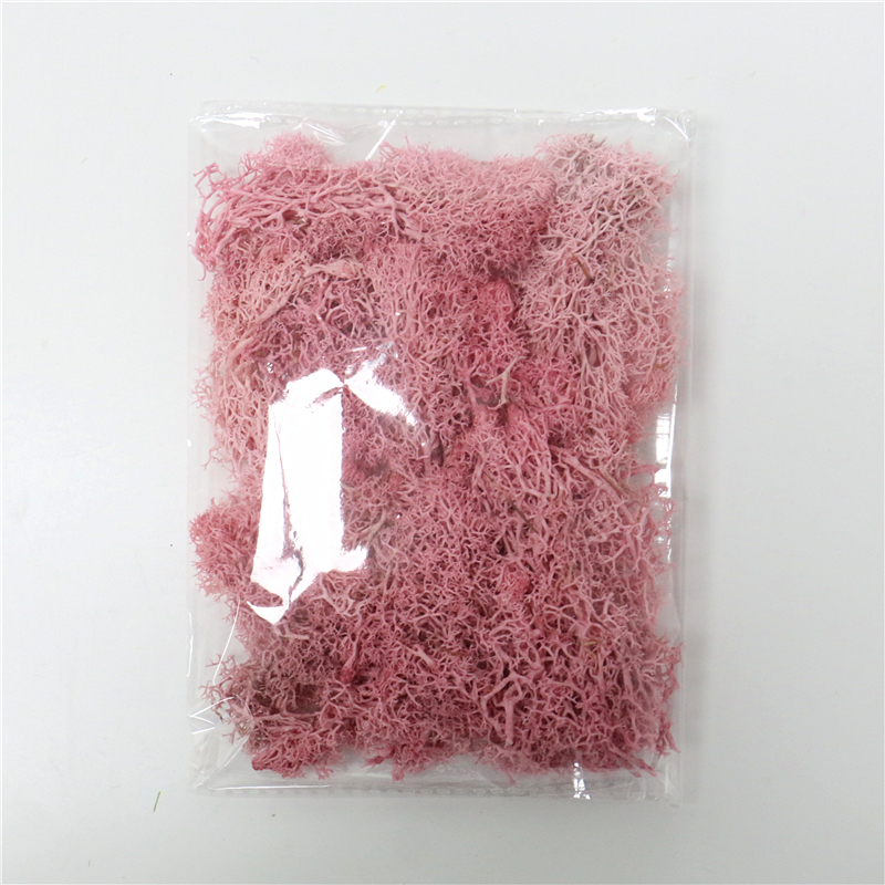 Skorter | Artificial Moss for Landscaping – Moss and Flowers for Decoration and Floristry