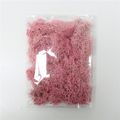 Skorter | Artificial Moss for Landscaping – Moss and Flowers for Decoration and Floristry