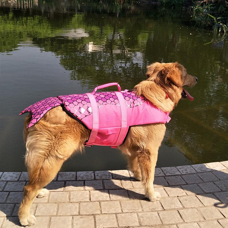 Skorter | Dog Swim Safety Jacket