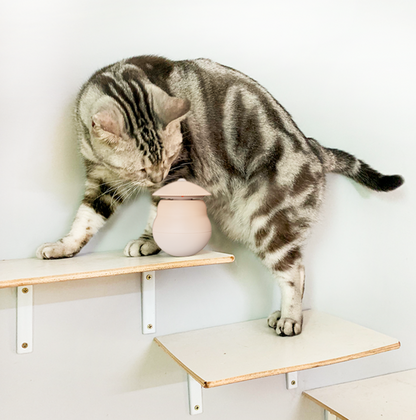 Skorter | Automatic Laser Infrared Cat Teaser Toy