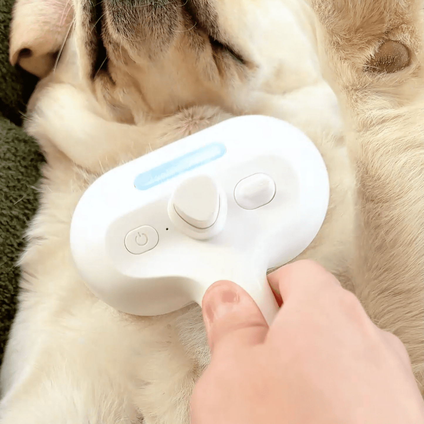 Skorter | DampfVacht Steam Brush – Gentle Care for Every Dog Coat