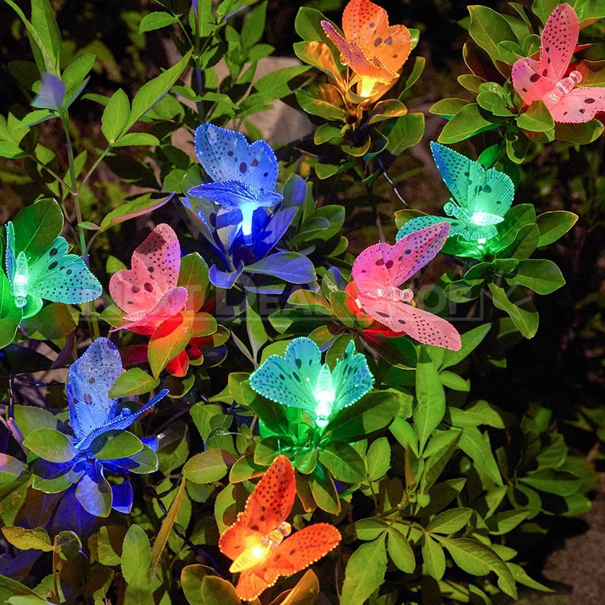 Skorter | 12 Butterfly LED Sun Fairy Lights