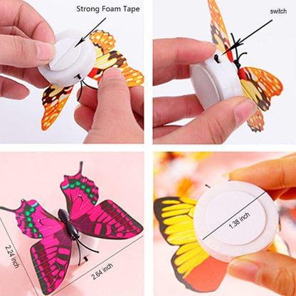 Skorter | 12-Pack: LED Butterfly Decoration Night Light