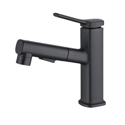Skorter | Contemporary Vessel Faucet Pull-out Centerset Faucet with Swivel Spout