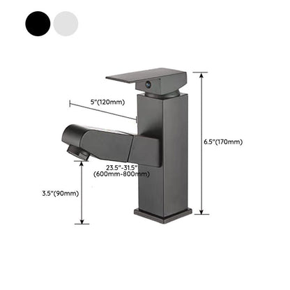 Skorter | Contemporary Bath Water Faucet Brass Lever Handle Pull-Out Sink Faucet