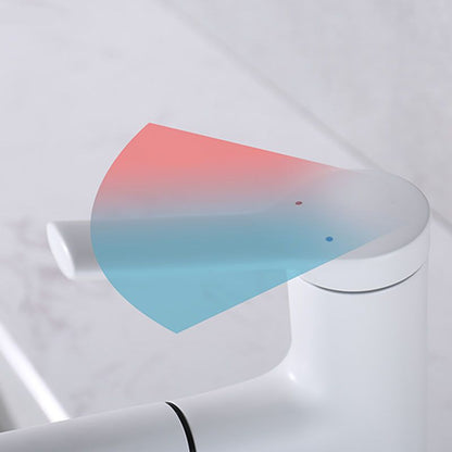 Skorter | Contemporary Single Handle Faucet Pull Out Kitchen Faucet with Lever Handle