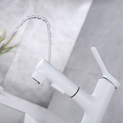 Skorter | Contemporary Single Handle Faucet Pull Out Kitchen Faucet with Lever Handle