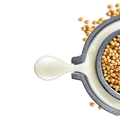 Skorter | Fire-resistant laminate flooring wood waterproof laminate boards