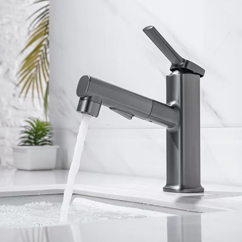 Skorter | Contemporary Vessel-Faucet Pull-out Centerset Faucet with Swiveling Spout