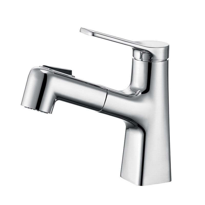 Skorter | Contemporary Vessel Faucet Metal Single Lever Low Arc Vessel Faucet for the Bathroom