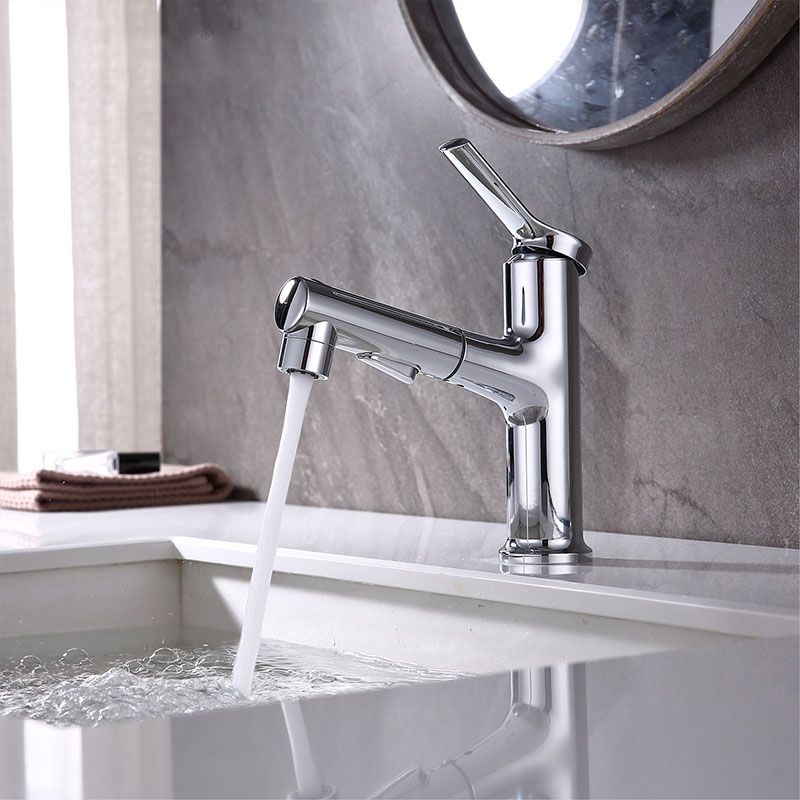 Skorter | Contemporary Single Handle Faucet Pull Out Kitchen Faucet with Lever Handle