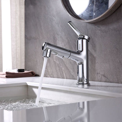 Skorter | Contemporary Single Handle Faucet Pull Out Kitchen Faucet with Lever Handle