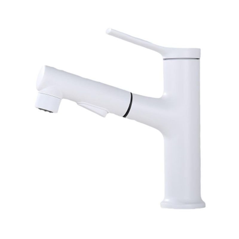 Skorter | Contemporary Single Handle Faucet Pull Out Kitchen Faucet with Lever Handle