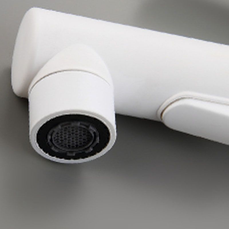 Skorter | Contemporary Single Handle Faucet Pull Out Kitchen Faucet with Lever Handle