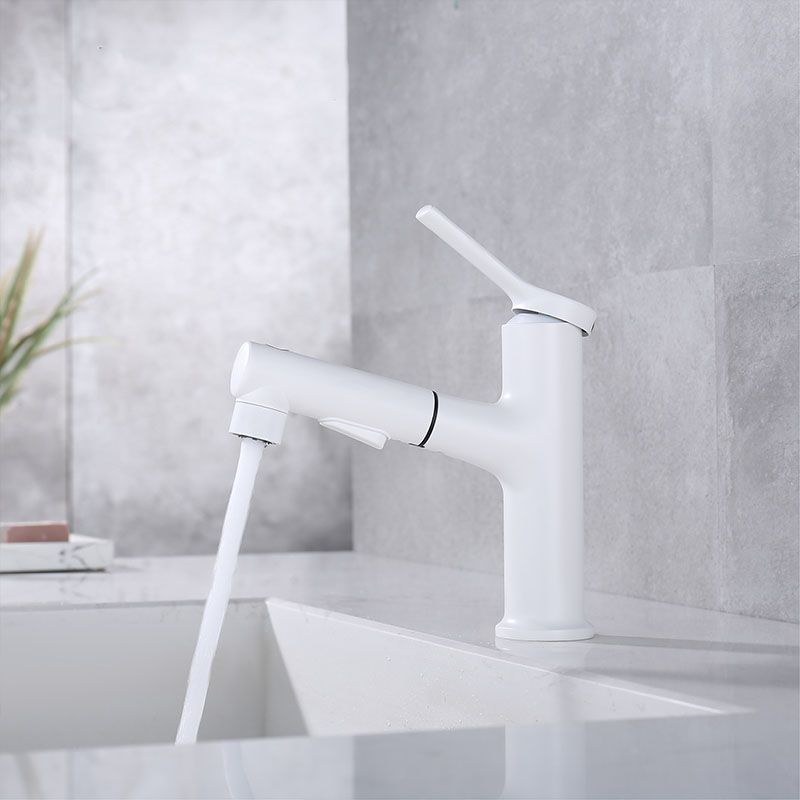 Skorter | Contemporary Single Handle Faucet Pull Out Kitchen Faucet with Lever Handle
