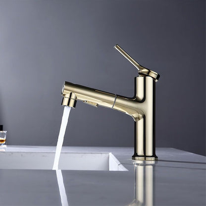 Skorter | Contemporary Single Handle Faucet Pull Out Kitchen Faucet with Lever Handle