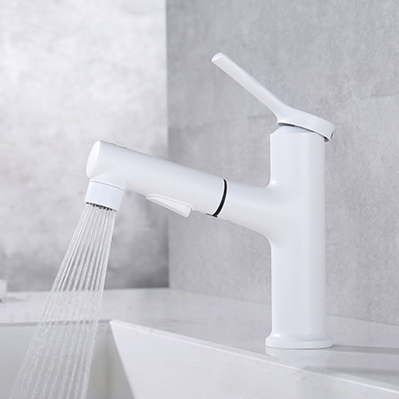 Skorter | Contemporary Single Handle Faucet Pull Out Kitchen Faucet with Lever Handle